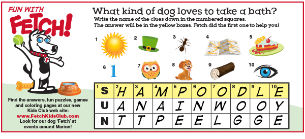 Puzzle Image
