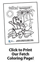 Coloring Page